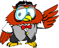 Land On Learning - Owl