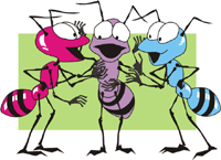 Team Skills Foundations